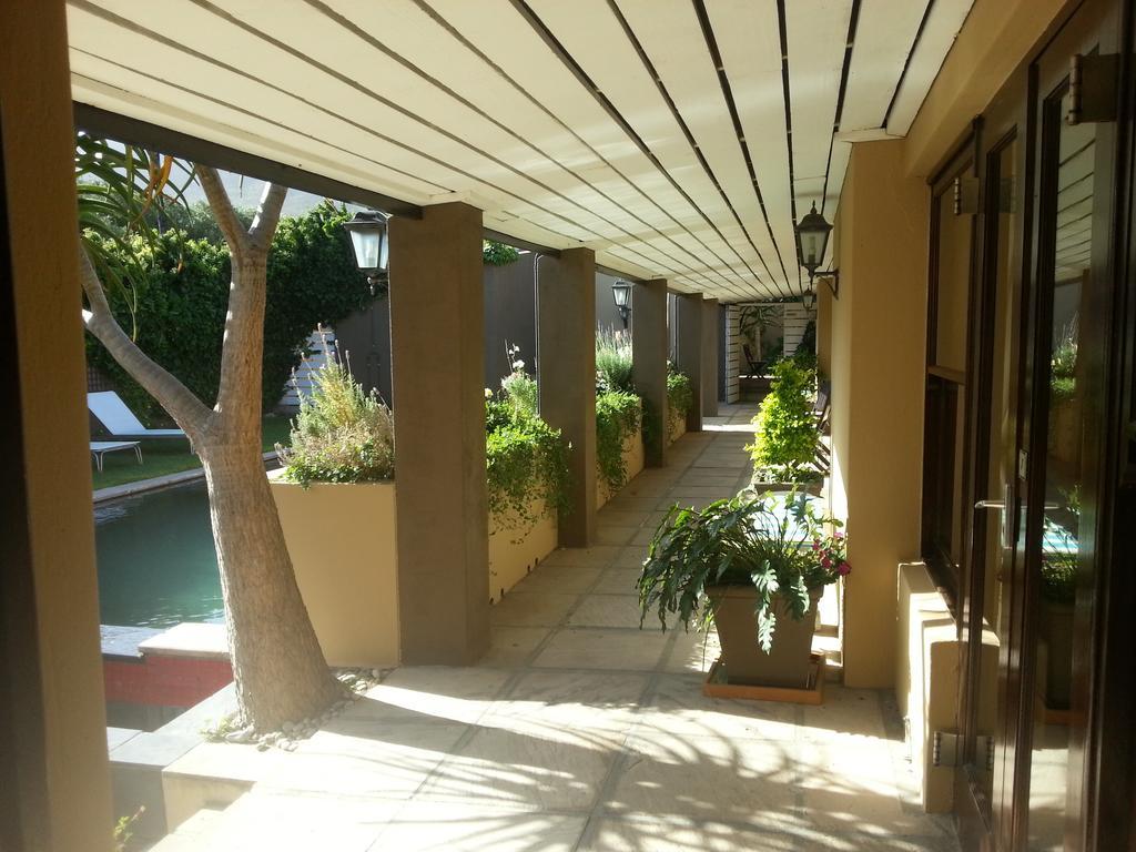 Aloe Guest House Hermanus Exterior photo